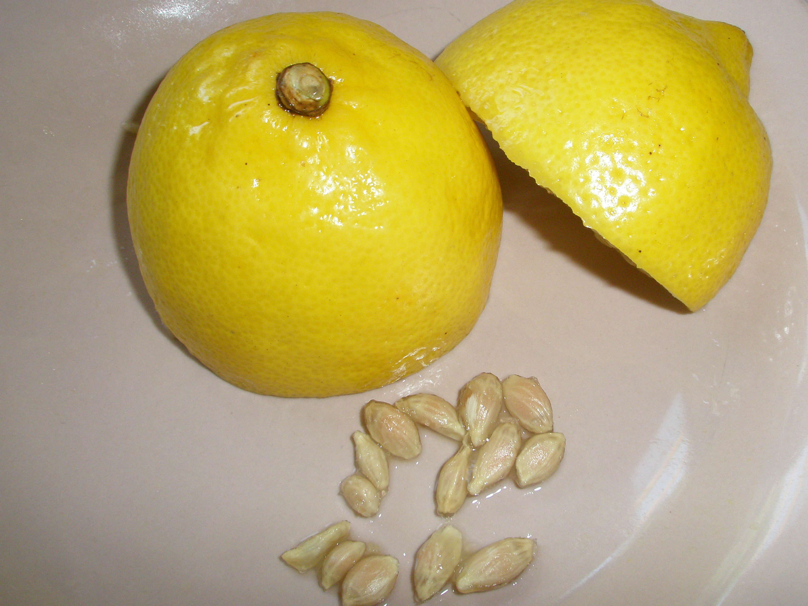 Турецкий лимон.