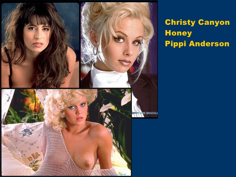 Christy Canyon, Honey, Pippi Anderson
